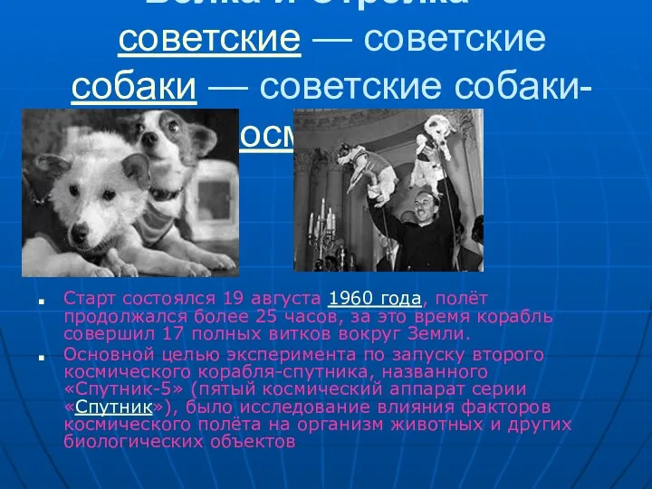 Бе́лка и Стре́лка — советские — советские собаки — советские собаки-космонавты Старт состоялся