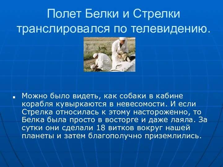 Полет Белки и Стрелки транслировался по телевидению. Можно было видеть, как собаки в