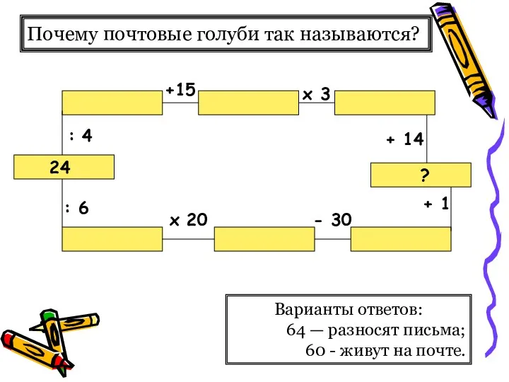 Почему почтовые голуби так называются? Варианты ответов: 64 — разносят