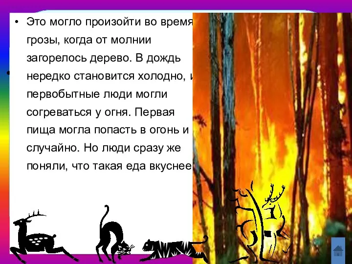 Как человек приручил огонь? Это могло произойти во время грозы,