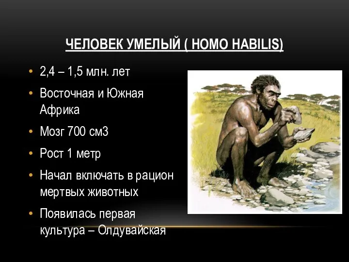 Человек умелый ( Homo habilis) 2,4 – 1,5 млн. лет Восточная и Южная