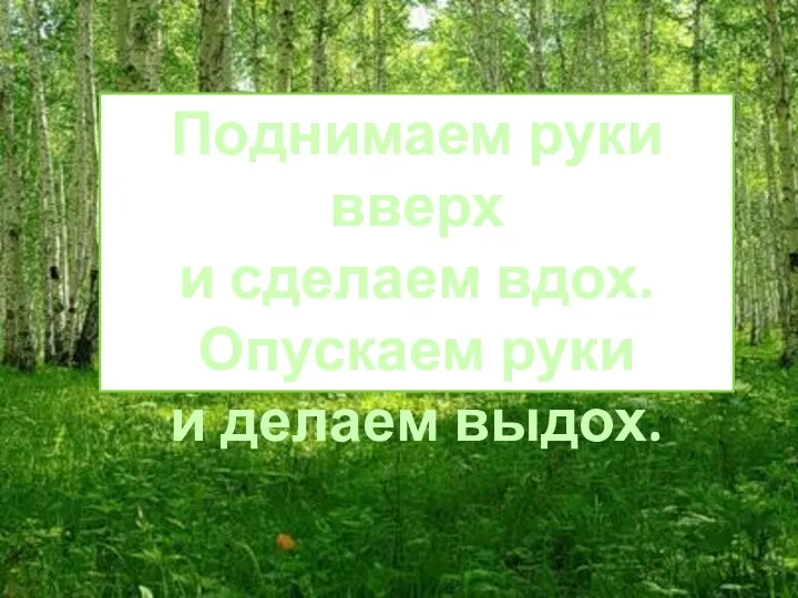 Поднимаем руки вверх и сделаем вдох. Опускаем руки и делаем выдох.