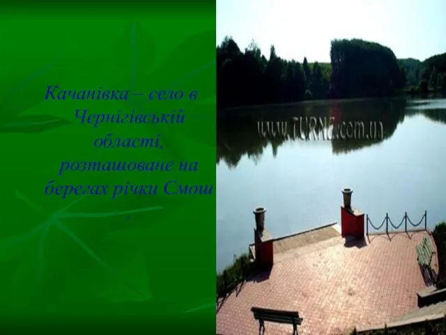 Качанівка – село в Чернігівській області, розташоване на берегах річки Смош .