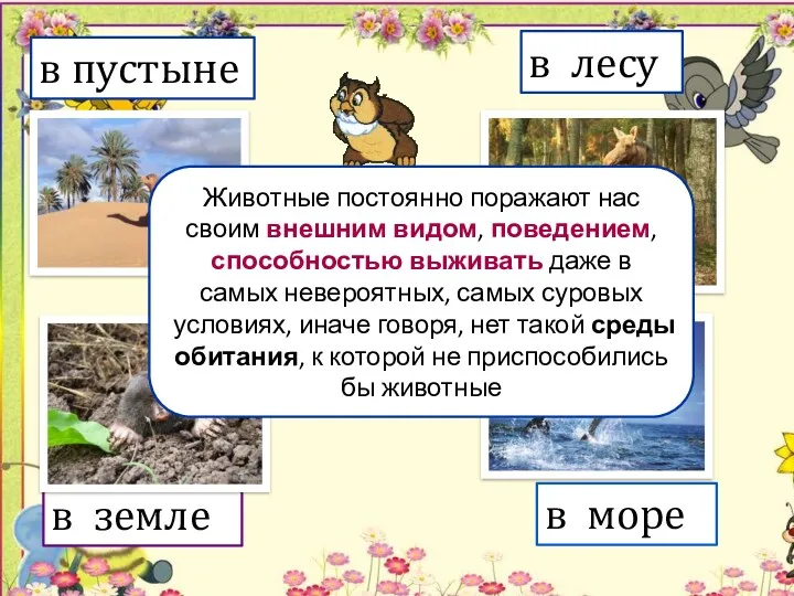 в лесу в пустыне в земле в море Среда обитания. Животные постоянно поражают