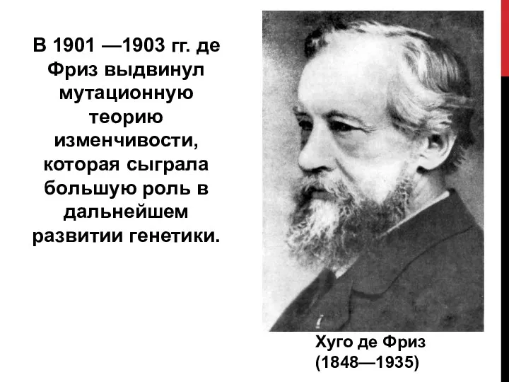 В 1901 —1903 гг. де Фриз выдвинул мутационную теорию изменчивости, которая сыграла большую