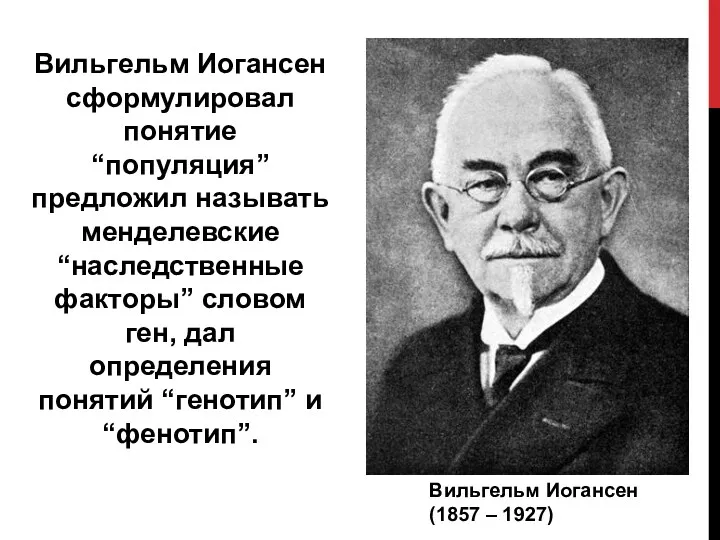 Вильгельм Иогансен (1857 – 1927) Вильгельм Иогансен сформулировал понятие “популяция”