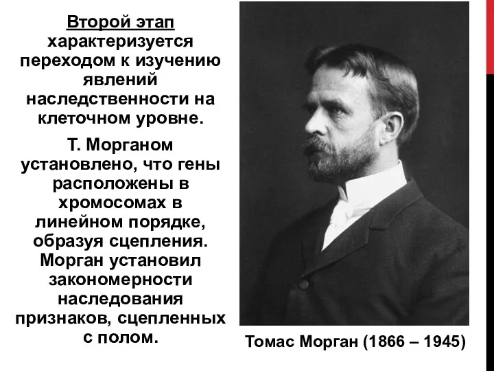 Второй этап характеризуется переходом к изучению явлений наследственности на клеточном