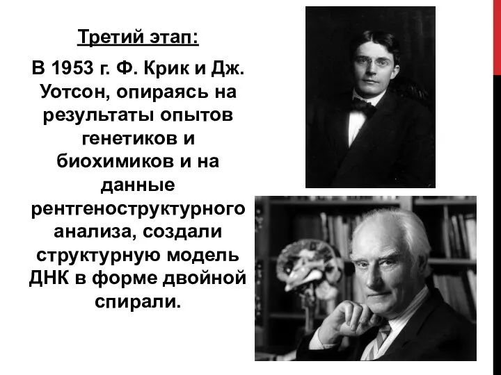 Третий этап: В 1953 г. Ф. Крик и Дж. Уотсон, опираясь на результаты