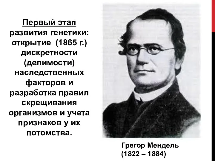 Первый этап развития генетики: открытие (1865 г.) дискретности (делимости) наследственных факторов и разработка