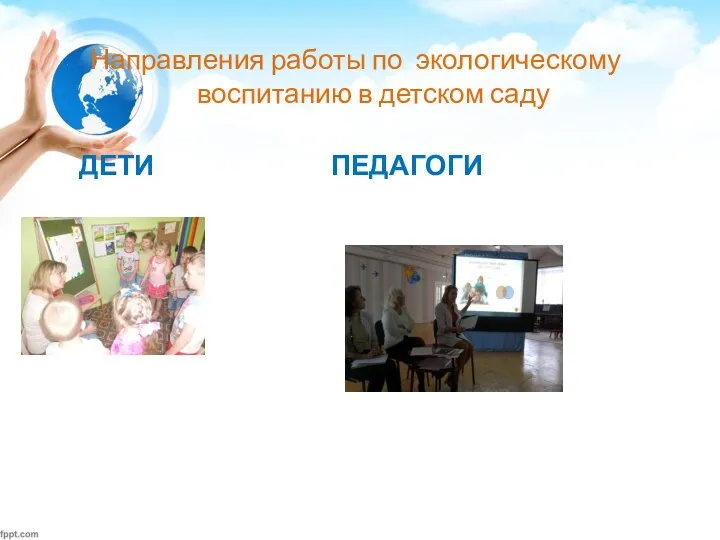 Направления работы по экологическому воспитанию в детском саду ДЕТИ ПЕДАГОГИ
