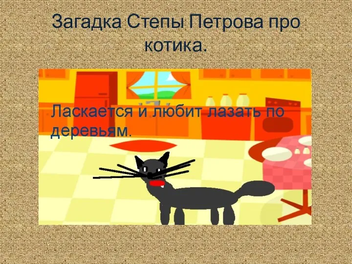 Загадка Степы Петрова про котика.