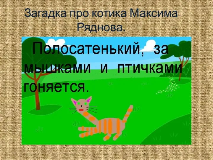 Загадка про котика Максима Ряднова.