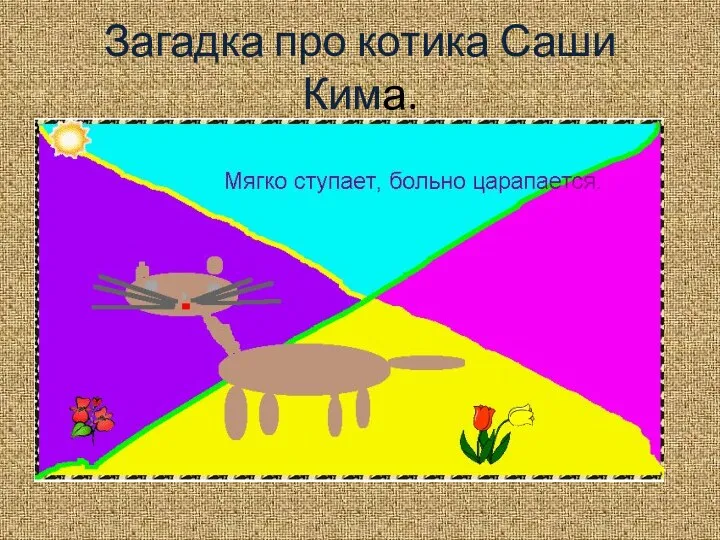 Загадка про котика Саши Кима.