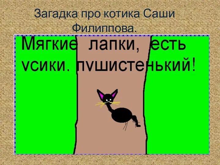 Загадка про котика Саши Филиппова.