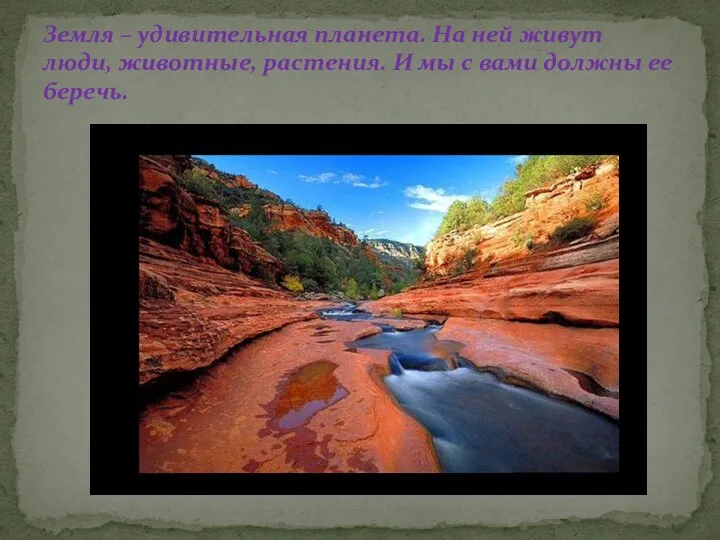 Земля – удивительная планета. На ней живут люди, животные, растения. И мы с