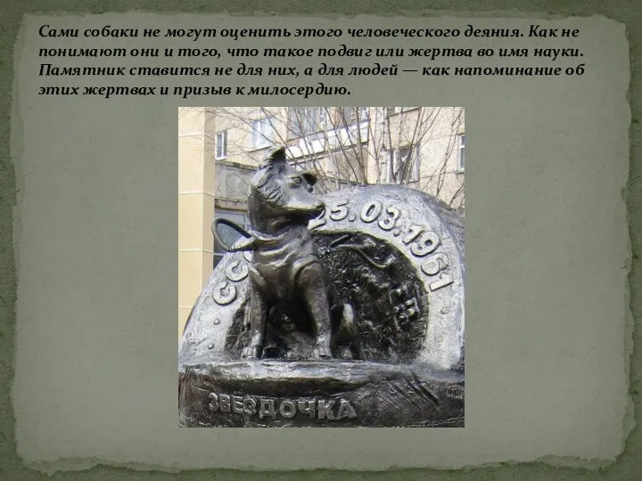 Сами собаки не могут оценить этого человеческого деяния. Как не понимают они и