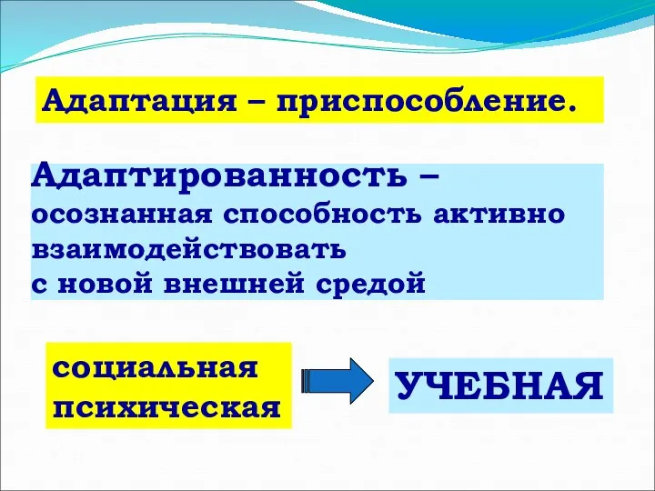 социальная психическая УЧЕБНАЯ Адаптированность – осознанная способность активно взаимодействовать с новой внешней средой Адаптация – приспособление.