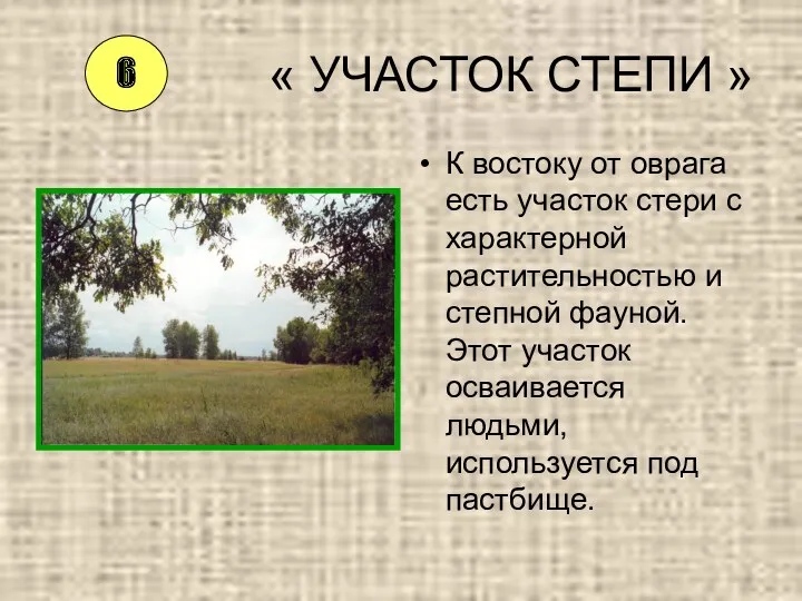 « УЧАСТОК СТЕПИ » К востоку от оврага есть участок стери с характерной