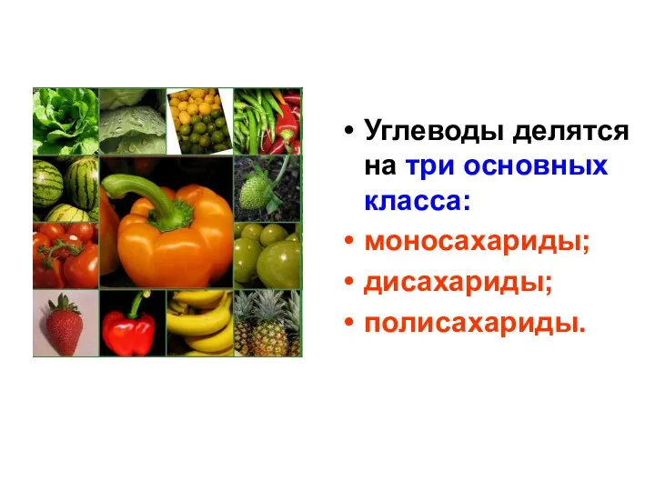 Углеводы делятся на три основных класса: моносахариды; дисахариды; полисахариды.