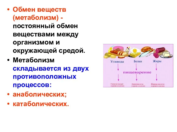 Обмен веществ (метаболизм) - постоянный обмен веществами между организмом и