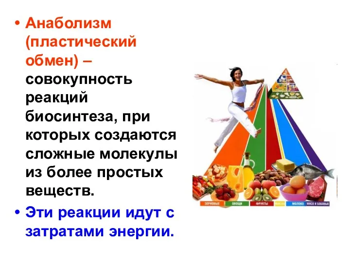 Анаболизм (пластический обмен) – совокупность реакций биосинтеза, при которых создаются