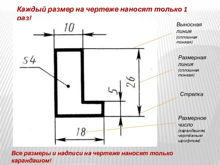 Каждый размер на чертеже наносят только 1 раз! Выносная линия (сплошная тонкая) Размерная