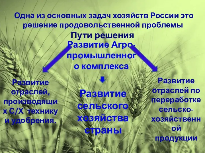 Одна из основных задач хозяйств России это решение продовольственной проблемы Пути решения Развитие