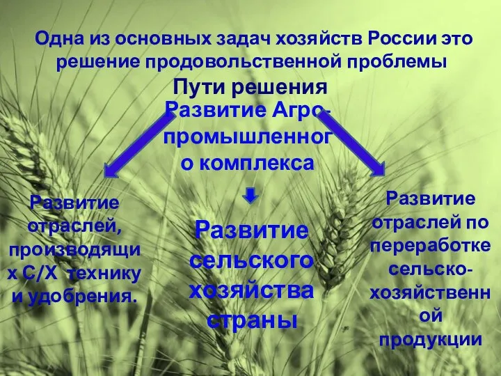 Одна из основных задач хозяйств России это решение продовольственной проблемы