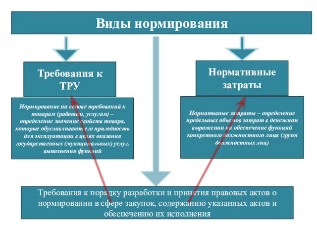 Виды нормирования Требования к ТРУ Нормативные затраты Нормативные затраты –