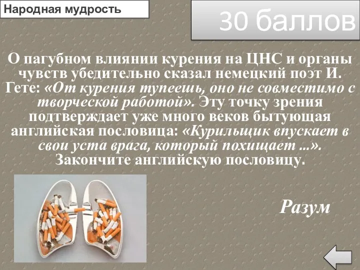 О пагубном влиянии курения на ЦНС и органы чувств убедительно