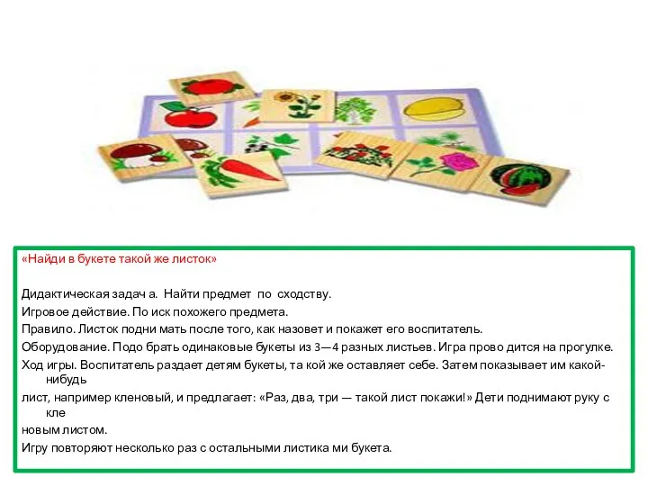 «Найди в букете такой же листок» Дидактическая задач а. Найти