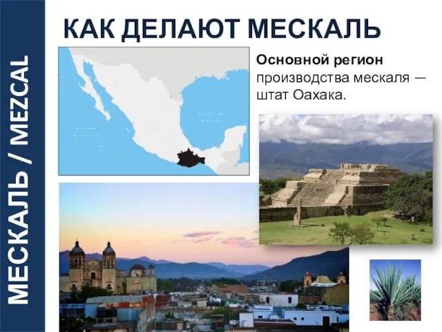 МЕСКАЛЬ / MEZCAL КАК ДЕЛАЮТ МЕСКАЛЬ Основной регион производства мескаля — штат Оахака.