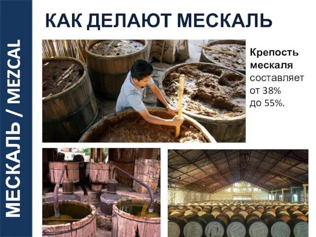 МЕСКАЛЬ / MEZCAL КАК ДЕЛАЮТ МЕСКАЛЬ Крепость мескаля составляет от 38% до 55%.