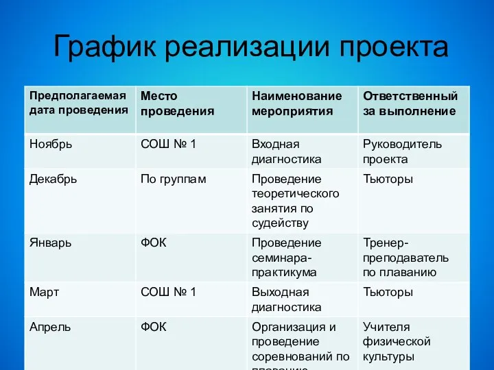 График реализации проекта