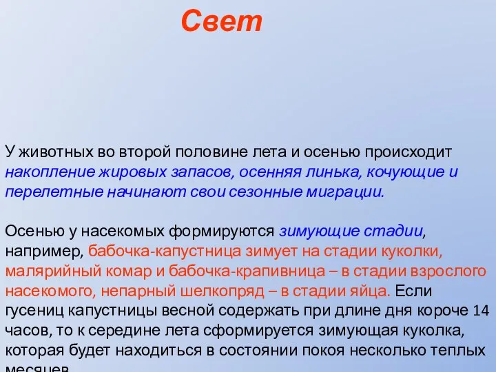 Свет У животных во второй половине лета и осенью происходит