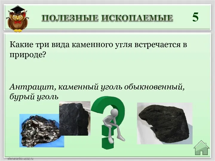 5 Антрацит, каменный уголь обыкновенный, бурый уголь Какие три вида каменного угля встречается в природе?