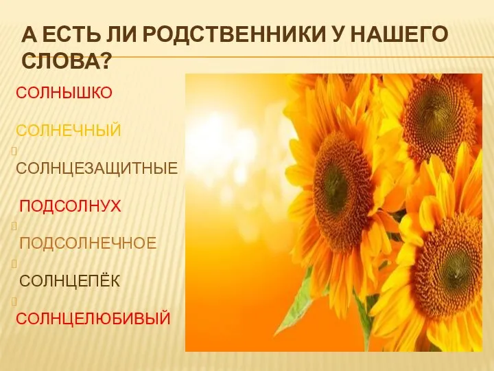 А есть ли родственники у нашего слова? СОЛНЫШКО СОЛНЕЧНЫЙ СОЛНЦЕЗАЩИТНЫЕ ПОДСОЛНУХ ПОДСОЛНЕЧНОЕ СОЛНЦЕПЁК СОЛНЦЕЛЮБИВЫЙ