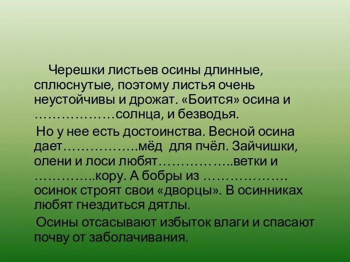 Черешки листьев осины длинные, сплюснутые, поэтому листья очень неустойчивы и