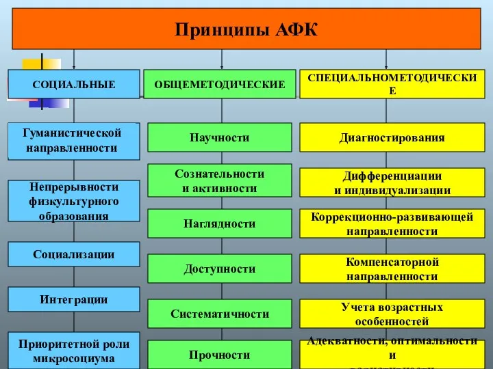 Принципы АФК СОЦИАЛЬНЫЕ ОБЩЕМЕТОДИЧЕСКИЕ СПЕЦИАЛЬНОМЕТОДИЧЕСКИЕ Непрерывности физкультурного образования Социализации Приоритетной роли микросоциума Интеграции