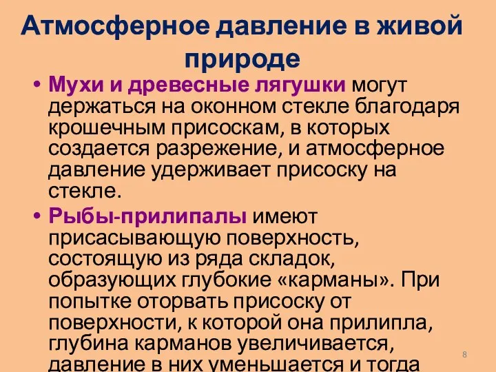 Атмосферное давление в живой природе Мухи и древесные лягушки могут