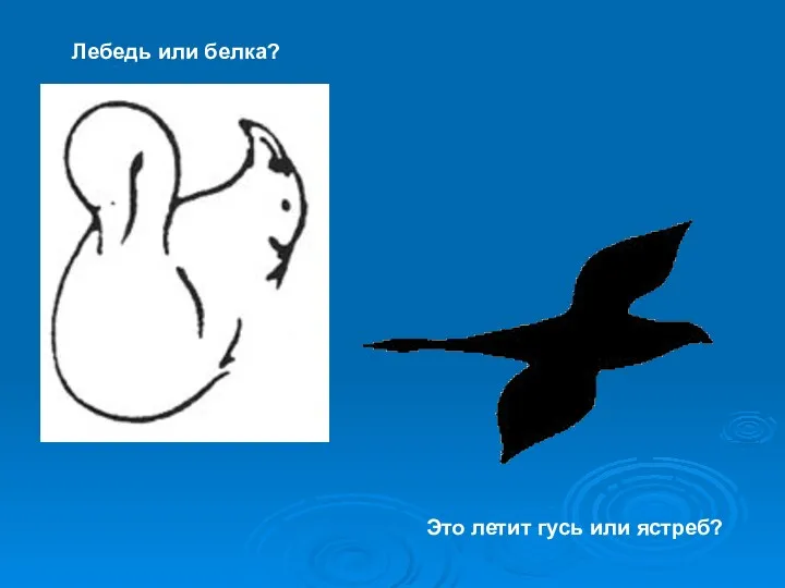 Лебедь или белка? Это летит гусь или ястреб?