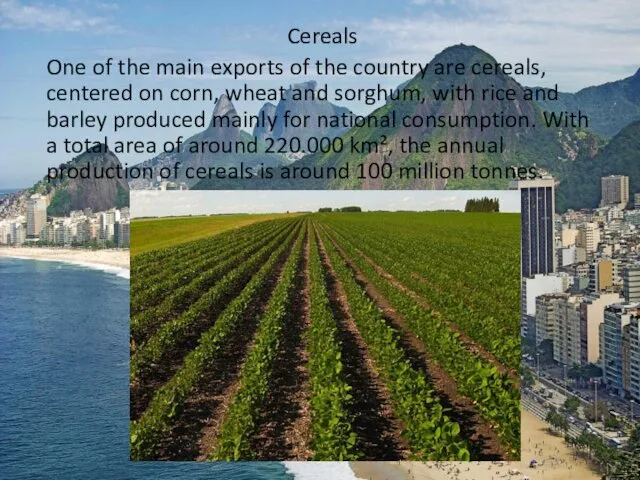 Cereals One of the main exports of the country are