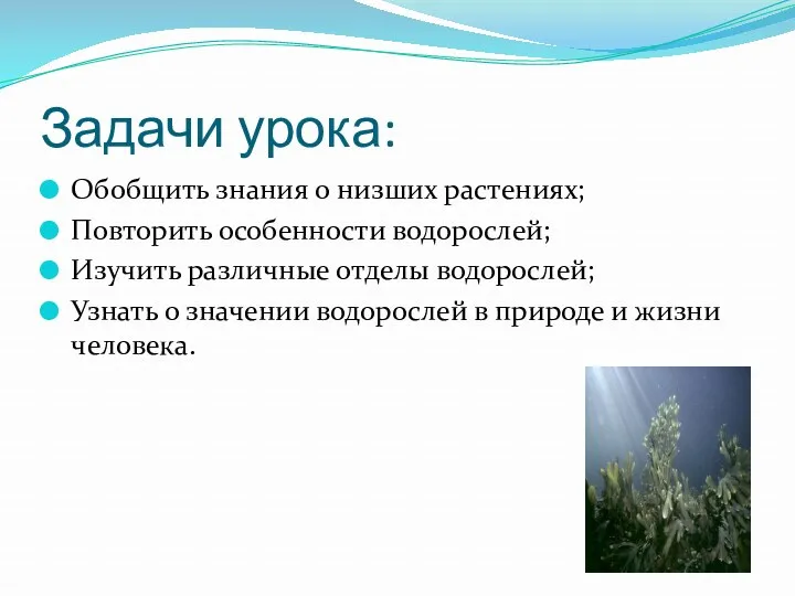 Задачи урока: Обобщить знания о низших растениях; Повторить особенности водорослей;