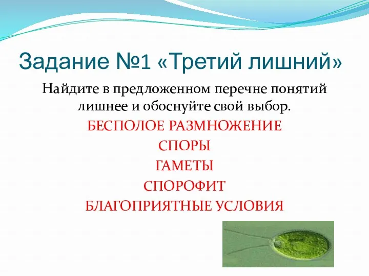 Задание №1 «Третий лишний» Найдите в предложенном перечне понятий лишнее