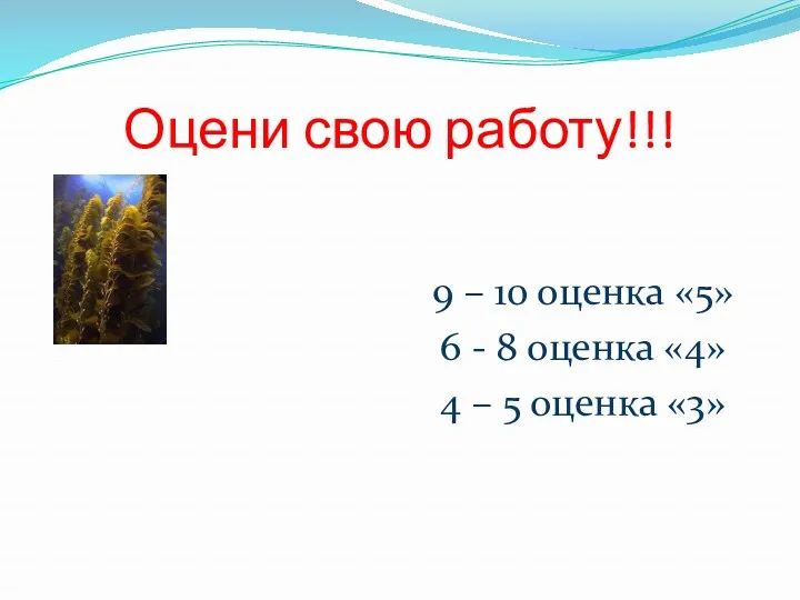 Оцени свою работу!!! 9 – 10 оценка «5» 6 -