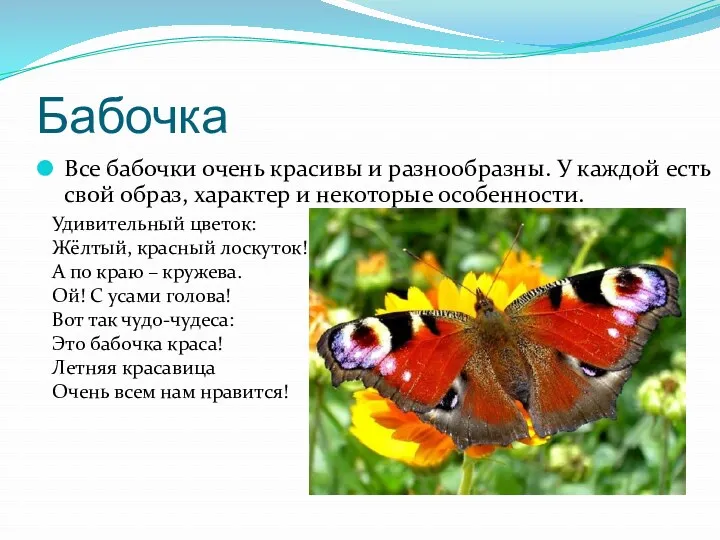 Бабочка Все бабочки очень красивы и разнообразны. У каждой есть свой образ, характер