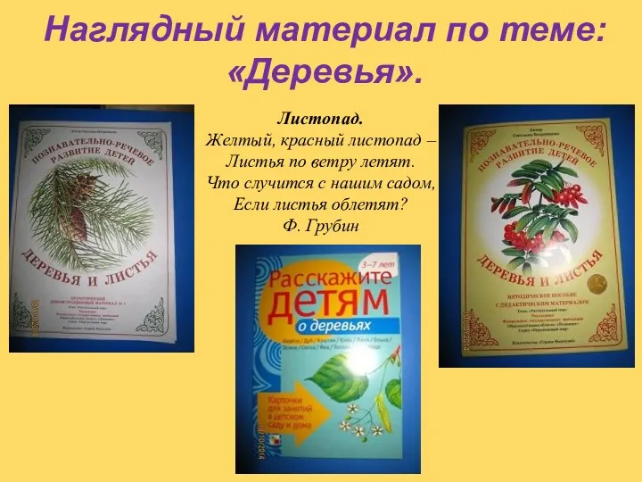 Наглядный материал по теме: «Деревья». Листопад. Желтый, красный листопад –