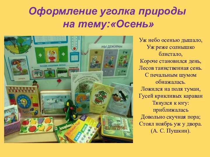 Оформление уголка природы на тему:«Осень» Уж небо осенью дышало, Уж