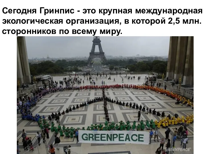 Сегодня Гринпис - это крупная международная экологическая организация, в которой 2,5 млн. сторонников по всему миру.