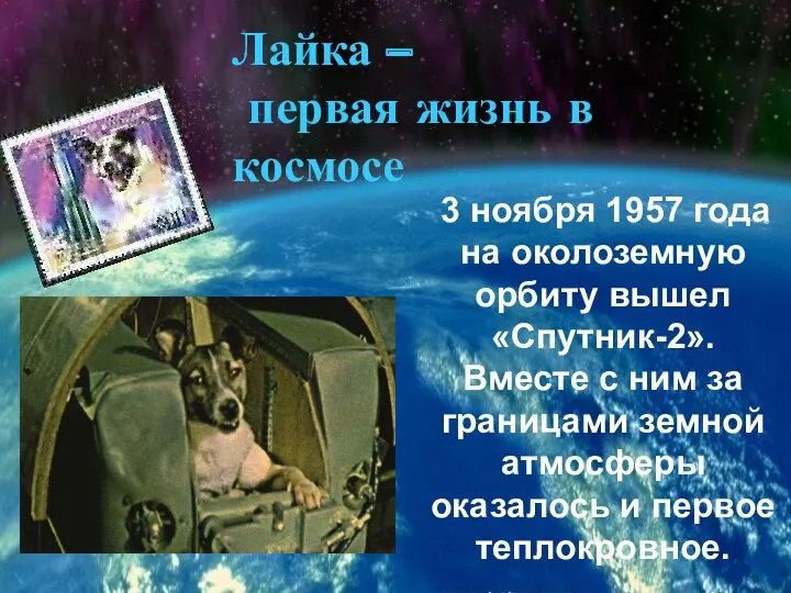 3 ноября 1957 года на околоземную орбиту вышел «Спутник-2». Вместе с ним за